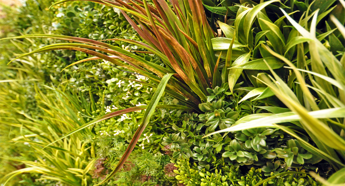 ARTIFICIAL GREEN WALL LONDON and cedar bench