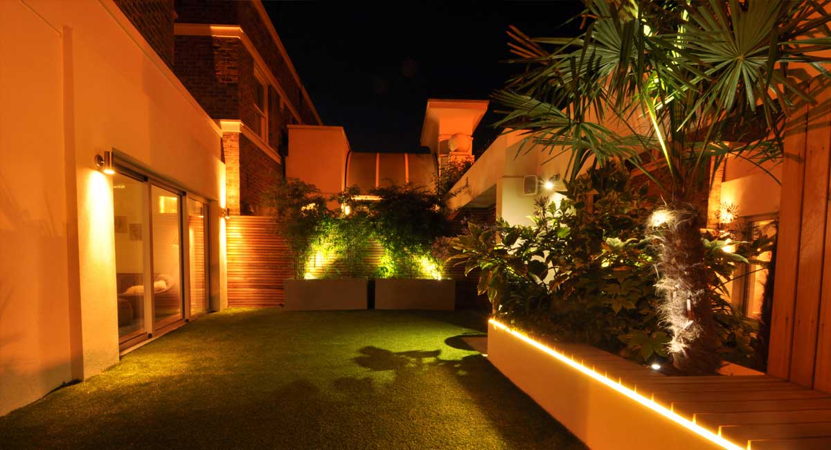 Fan palm, Night lights, Lighting, LED Strip, Ambient light, Courtyard