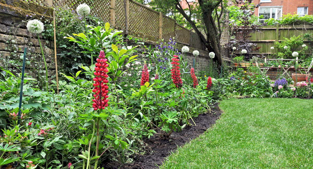 YORKSTONE,LAWN,COUNTRY STYLE GARDEN, ALLIUM GARDEN,BENCH,PATH 